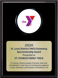 Ebony Finish Lucite Disc Logo Plaque