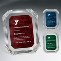 Octagonal Diamond Carved Acrylic Award